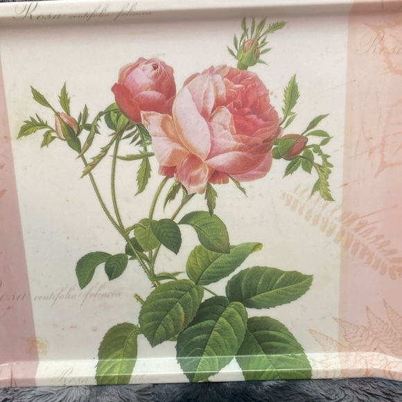 2  Melamine Handled Dinner TV
Lap Trays Roses Flowers Floral - Picture 7 of 16